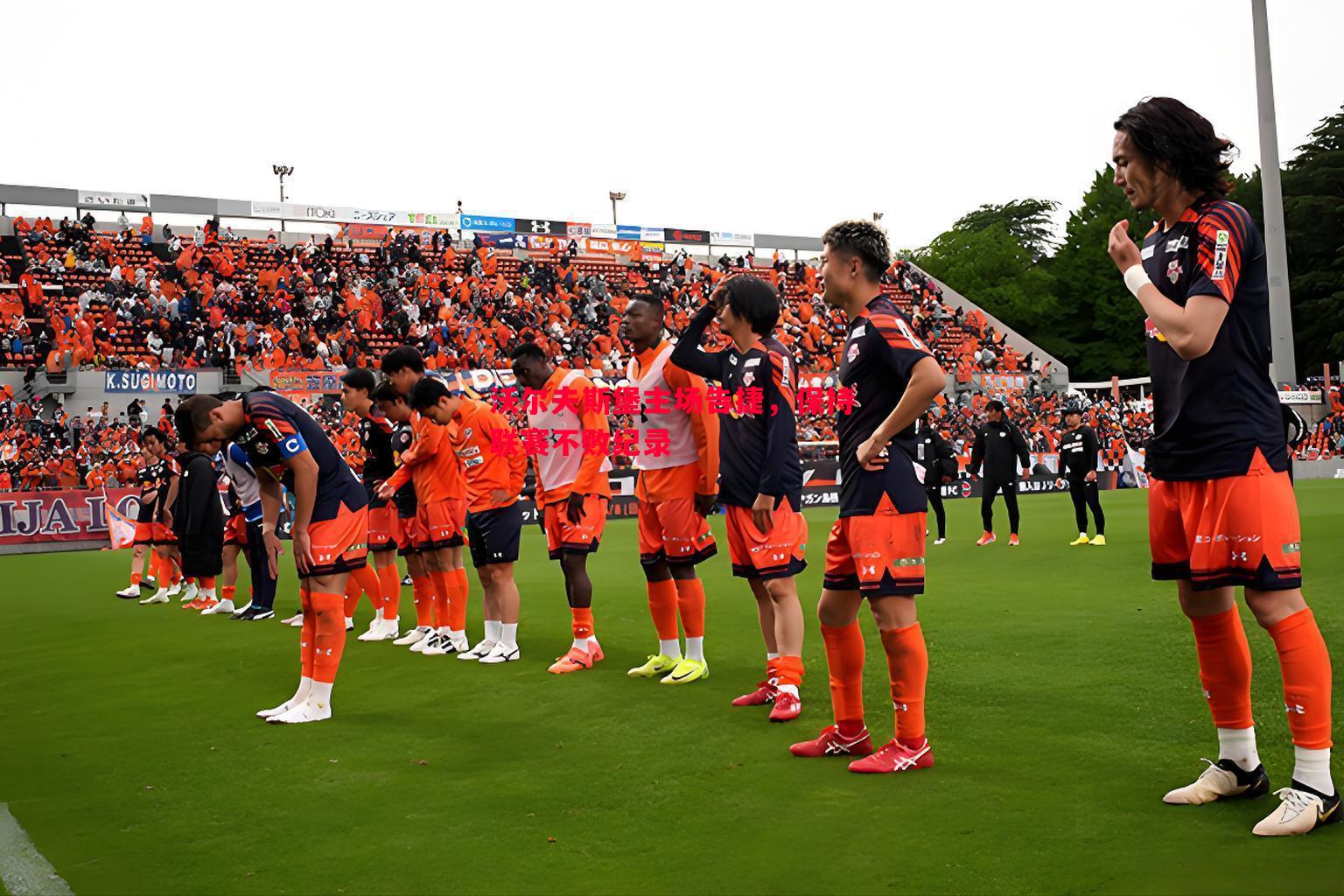 沃尔夫斯堡主场告捷,保持联赛不败纪录 沃尔夫斯堡主场告捷,保持联赛不败纪录