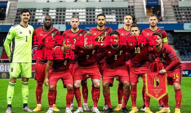 球员受伤退赛,欧洲杯阵容再度变动 球员受伤退赛,欧洲杯阵容再度变动